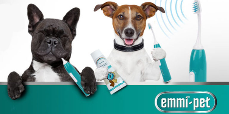 PRODUCT REVIEW – Emmi-pet, ultrasonic toothbrush – Bolognese Dog Club UK