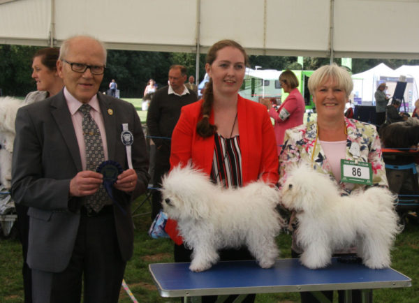 RICHMOND CHAMPIONSHIP DOG SHOW