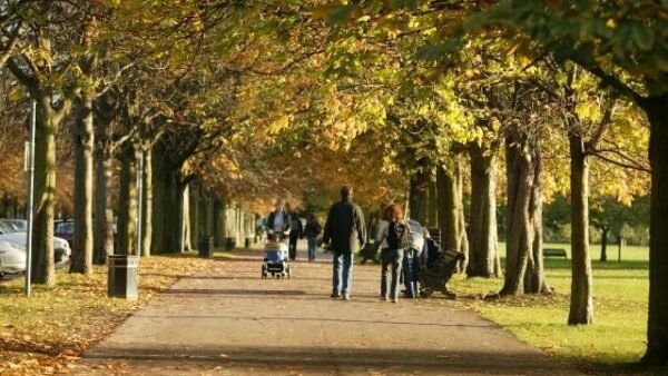 greenwich park new pic