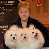 Janis Stanley Pro Member (renewal Jan 2020)